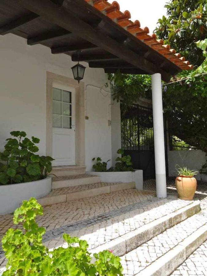 Casa dos Pocinhos Férias tranquilas no campo Torres Novas Exterior foto